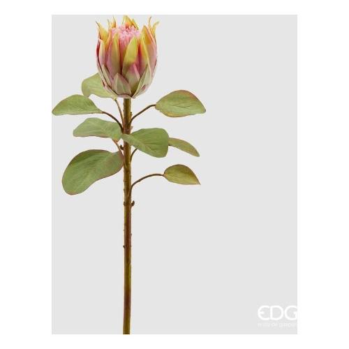 Edg Stelo Protea green red (68cm) 215521 740