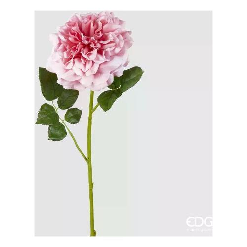 Edg Stelo Stelo rosa jumbo pink (80cm) 2100382A500