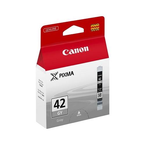 Canon Cartuccia stampante Linea CLI-42 Grigio CHROMALIFE 100+ Cli 42Gy 6390B001