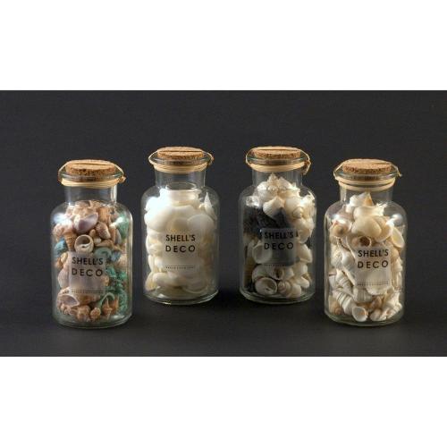 Amicasa Barattolo Conchiglie Small Assortito Art 1