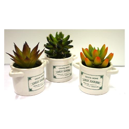 Amicasa Pianta artificiale Grassa vaso pentolina .Art.2 assortito