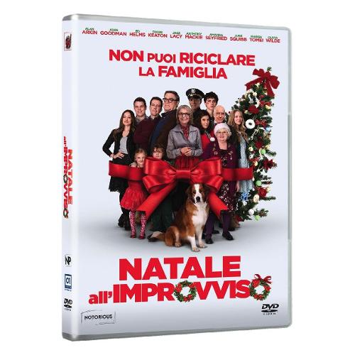 Nd DVD Natale All'Improvviso - Jessie Nelson 4800006564