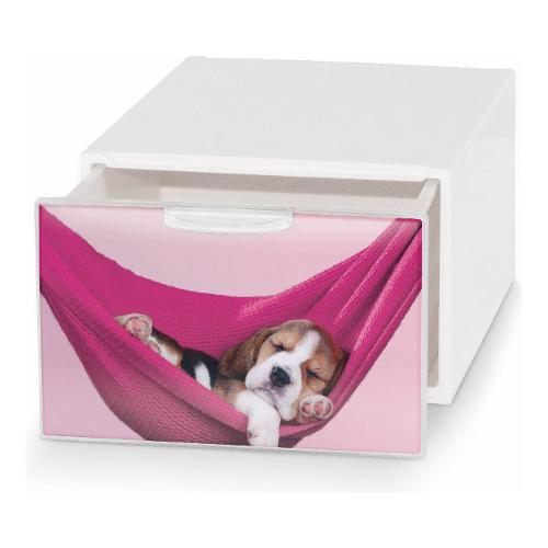 Domoliving Cassetto ordinatore Tropical (15,5x20x10,5cm) QBOX DECO MINI Assortito QBM005