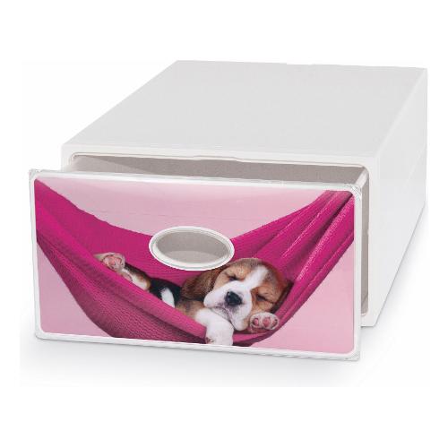 Domoliving Cassetto ordinatore Watercolor (28x40x15cm) QBOX DECO LARGE Assortito QBL005