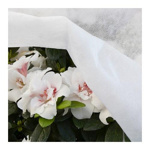 Verdelook Telo protezione piante 10 mt (240 cm) Bianco 520 4