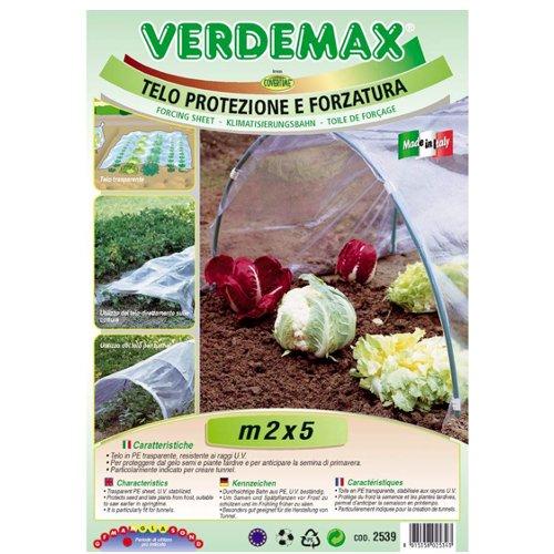 Verdemax Telo protezione piante 5 mt (200 cm) Trasparente 2539