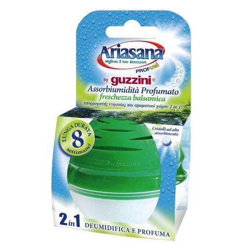 Ariasana Assorbiumidità profumato mini PROFUMÌ 40 gr sale inclusi Pino balsamico 1069048