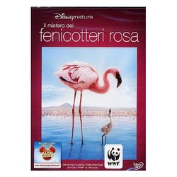 Walt Disney DVD Mistero Dei Fenicotteri Rosa (Il) - Matthew Aeberhard,Leander Ward BIA0191802