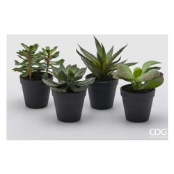 Pianta artificiale Sanseveria Azure assortito 232947,82