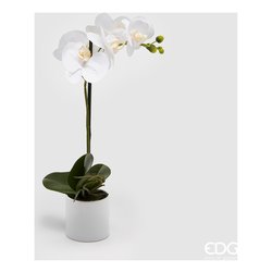 orchidea finta in vaso edg