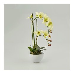 Planta artificiale con vaso - Orchidea - H. 42 cm