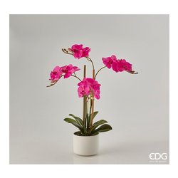 Pianta Phalaenopsis Artificiale Bianca EDG - Idea Fiori