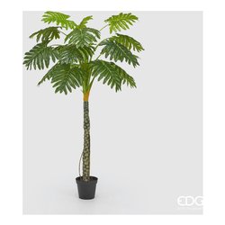 Pianta Artificiale di Ulivo da 180 cm a 12 Rami con Vaso ø15x12.5cm per  Interni ed Esterni Verde - 890VGGN1