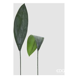 Edg Stelo Foglia aspidistra green 239184 700